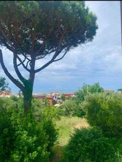 Tempo d'ozio a Marechiaro - Anzio - 0