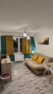 Studio Cosy - Mandelieu - Mandelieu La Napoule - 0