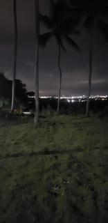 FAZENDA BOSQUE DAs PALMEIRAS - 3