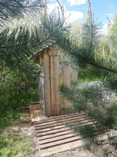 Glamping under the pines - 3