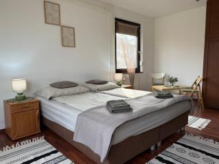 Szántó apartman - Szolnok - 8