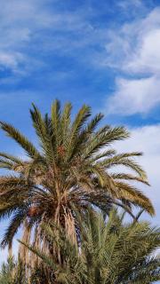 Sahara Escape tours - 1