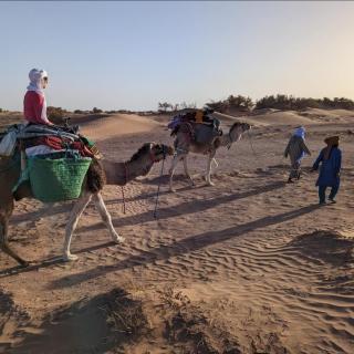 Sahara Escape tours - Mhamid - 0