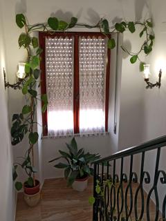 Holiday-house-Saba-Lupino - Orosei - 1