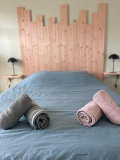 Très bel appartement au cœur des Vosges - Saulcy-sur-Meurthe - 9