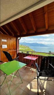 Lavaux nice place in Swiss French part - Rivaz - 0
