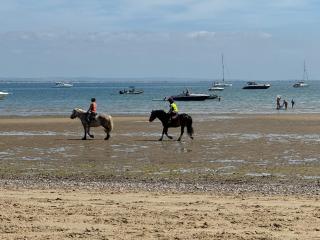 Seaview House, lovely ground floor flat with garden, minutes walk to beach - 2