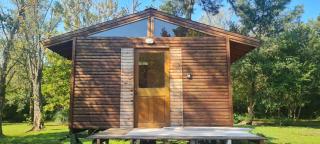 Sweet Home - Tigre - 2