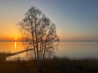 Ferienwohnung Sunrise - Mit direktem Blick auf das Steinhuder Meer - - Mardorf - 7