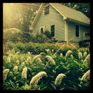 Private Cottage on Lookout Mountain - Rising Fawn - 7