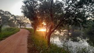 Wild View Stay - Habarana - 3