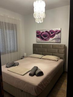 Veta's House - Olympiada - 8