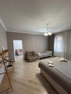 Nicola House in Borjomi - Borjomi - 7