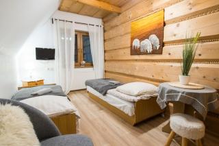 Willa Regionalna - Zakopane - 1