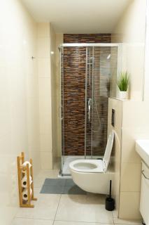 Beautiful apartment in the center of Prague 1 - Prague - 4