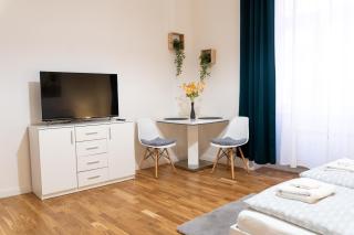 Beautiful apartment in the center of Prague 1 - Prague - 7