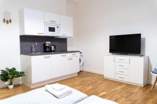 Beautiful apartment in the center of Prague 1 - Prague - 6