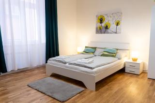 Beautiful apartment in the center of Prague 1 - Prague - 3