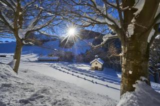 Casa tra i boschi - 8