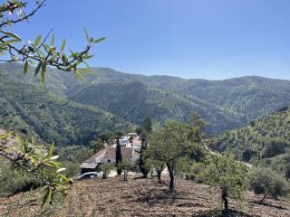 B&B Sol y Monte - 7