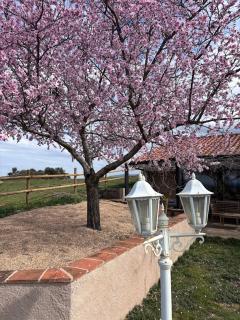 Casa Rural Explora, Pastores - Pastores - 9