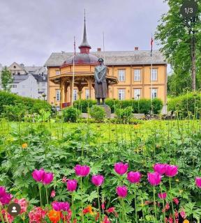 City center Panorama - 1