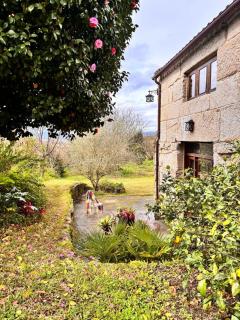 Nature y Relax -  - 1