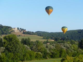 Studio 40m2 avec terrasse face à la Dordogne avec vue exceptionnelle - Beynac-et-Cazenac - 6