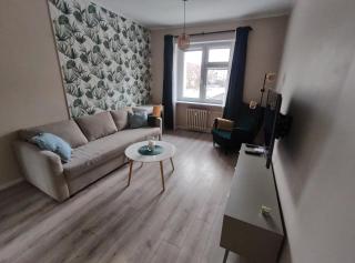 Kasprzaka Cozy Apartment - Poznań - 9