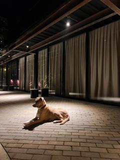 1 Relax, luxury room, everything you need - Salento - 3