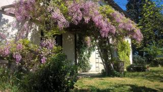 CasaLeMonache self-catering rural retreats - San Gemini - 6