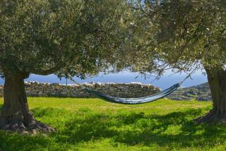 Aggelis Villa - Artemon - 8