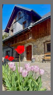 4 Elements Bungalow & Apartments - Bled - 2