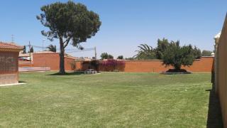 El Cotín Rural House - Novo Sancti Petri - 8