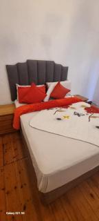 Neo & Ruks Guest Houses Boston Belleville - Bellville - 5