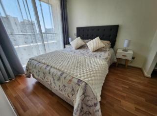 Céntrico y lindo departamento - Santiago - 8