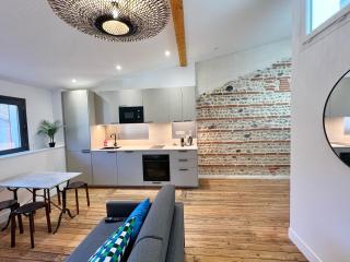 Le Vigneron - Centre - Luxe - Climatisation - Tolosa - 6