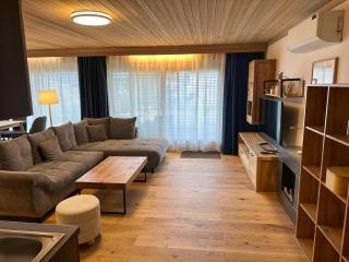 Apartment in Saalfelden near Ski Slopes - 1