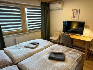 Cosy apartment in Salzburg with garden - Saalfelden am Steinernen Meer - 6