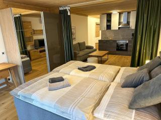 Appealing apartment in Saalfelden near lake - Saalfelden am Steinernen Meer - 5