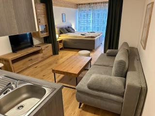 Appealing apartment in Saalfelden near lake - Saalfelden am Steinernen Meer - 0