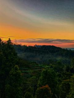 Sun Rice Homestay - Ruteng - 7