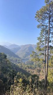 incredible birding camp - Bhimtal - 7
