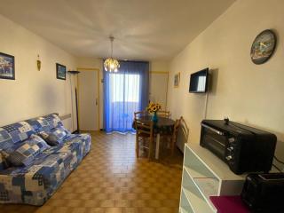 Appartement calme avec balcon, animaux admis, proche Thermes - FR-1-503-183 - Balaruc-les-Bains - 0