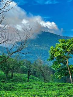 Samabeong Homestay Tindhurey - Lava - 8