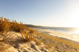Banksia Dunes Your Coastal Escape in Normanville - 6