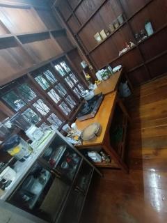 Babazia Home - Pai - 3