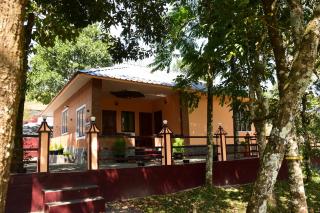 SPATHODEA - Vagamon - 9