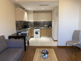 Spacious 1-Bedroom Apartment in the Center - Erevan - 2