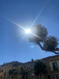 Lupara Bella - - 2